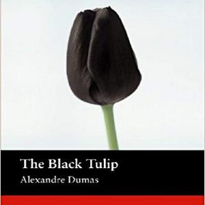 Чёрный тюльпан